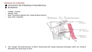 Thyroid anatomy power point presentation | PPTX