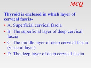 MCQ
Thyroid is enclosed in which layer of
cervical fascia-
• A. Superficial cervical fascia
• B. The superficial layer of deep cervical
fascia
• C. The middle layer of deep cervical fascia
(visceral layer)
• D. The deep layer of deep cervical fascia
 