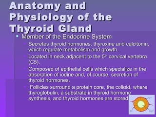 Anatomy and Physiology of the Thyroid Gland Member of the Endocrine System Secretes thyroid hormones, thyroxine and calcitonin, which regulate metabolism and growth. Located in neck adjacent to the 5 th  cervical vertebra (C5). Composed of epithelial cells which specialize in the absorption of iodine and, of course, secretion of thyroid hormones. Follicles surround a protein core, the colloid, where thyroglobulin, a substrate in thyroid hormone synthesis, and thyroid hormones are stored. 