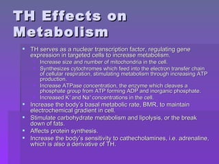 TH Effects on Metabolism TH serves as a nuclear transcription factor, regulating gene expression in targeted cells to increase metabolism. Increase size and number of mitochondria in the cell. Synthesizes cytochromes which feed into the electron transfer chain of cellular respiration, stimulating metabolism through increasing ATP production. Increase ATPase concentration, the enzyme which cleaves a phosphate group from ATP forming ADP and inorganic phosphate. Increased K +  and Na +  concentrations in the cell. Increase the body’s basal metabolic rate, BMR, to maintain electrochemical gradient in cell. Stimulate carbohydrate metabolism and lipolysis, or the break down of fats. Affects protein synthesis. Increase the body’s sensitivity to cathecholamines, i.e. adrenaline, which is also a derivative of TH. 