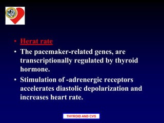 THYROID AND CVS
• Herat rate
• The pacemaker-related genes, are
transcriptionally regulated by thyroid
hormone.
• Stimulation of -adrenergic receptors
accelerates diastolic depolarization and
increases heart rate.
 