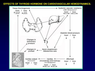 EFFECTS OF THYROID HORMONE ON CARDIOVASCULAR HEMODYNAMICS.
 
