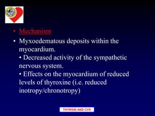 THYROID AND CVS
• Mechanism
• Myxoedematous deposits within the
myocardium.
• Decreased activity of the sympathetic
nervous system.
• Effects on the myocardium of reduced
levels of thyroxine (i.e. reduced
inotropy/chronotropy)
 