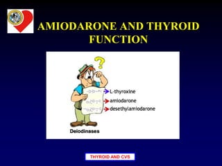 THYROID AND CVS
AMIODARONE AND THYROID
FUNCTION
 