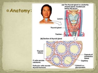 Anatomy:




            4
 