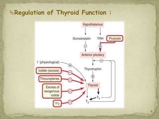 Regulation of Thyroid Function :




                                    6
 