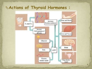 Actions of Thyroid Hormones :




                                 8
 