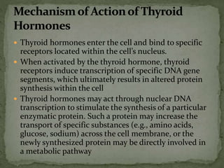  Thyroid hormones enter the cell and bind to specific
receptors located within the cell’s nucleus.
 When activated by the thyroid hormone, thyroid
receptors induce transcription of specific DNA gene
segments, which ultimately results in altered protein
synthesis within the cell
 Thyroid hormones may act through nuclear DNA
transcription to stimulate the synthesis of a particular
enzymatic protein. Such a protein may increase the
transport of specific substances (e.g., amino acids,
glucose, sodium) across the cell membrane, or the
newly synthesized protein may be directly involved in
a metabolic pathway
 