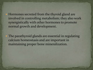  Hormones secreted from the thyroid gland are
involved in controlling metabolism; they also work
synergistically with other hormones to promote
normal growth and development.
 The parathyroid glands are essential in regulating
calcium homeostasis and are important in
maintaining proper bone mineralization.
 