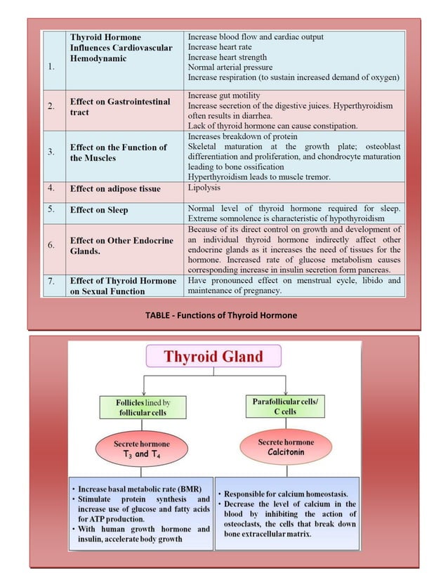 THYROID AND PARATHYROID GLAND BY HARSHAL | PDF