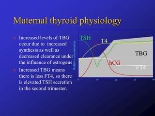 o Increased levels of TBG
occur due to increased
synthesis as well as
decreased clearance under
the influence of estrogens
o Increased TBG means
there is less FT4, so there
is elevated TSH secretion
in the second trimester.
Maternal thyroid physiology
 