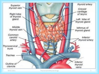 Thyroid & Antithyroid Drugs 1
09-02-2021
 