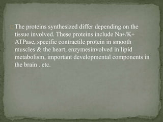 The proteins synthesized differ depending on the
tissue involved. These proteins include Na+/K+
ATPase, specific contractile protein in smooth
muscles & the heart, enzymesinvolved in lipid
metabolism, important developmental components in
the brain . etc.
 