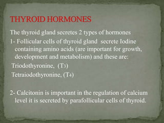 The thyroid gland secretes 2 types of hormones
1- Follicular cells of thyroid gland secrete Iodine
containing amino acids (are important for growth,
development and metabolism) and these are:
Triodothyronine, (T3)
Tetraiodothyronine, (T4)
2- Calcitonin is important in the regulation of calcium
level it is secreted by parafollicular cells of thyroid.
 
