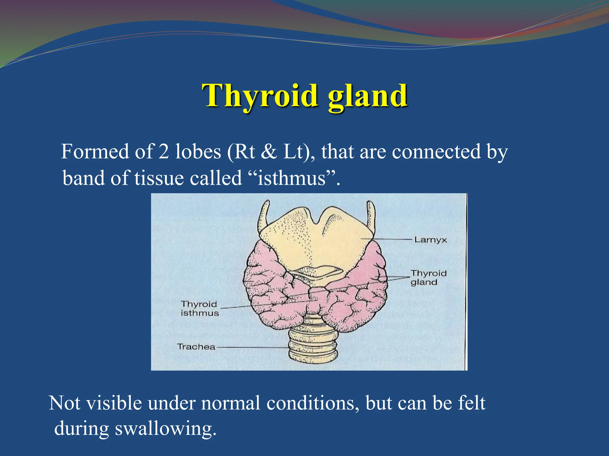 Thyroid & Antithyroid drugs Nursing (1).ppt