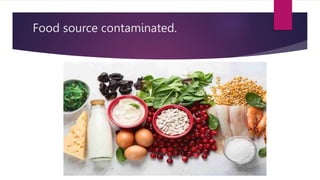 Food source contaminated.
 