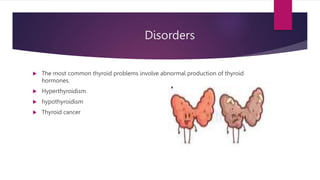 Disorders
 The most common thyroid problems involve abnormal production of thyroid
hormones.
 Hyperthyroidism.
 hypothyroidism
 Thyroid cancer
 