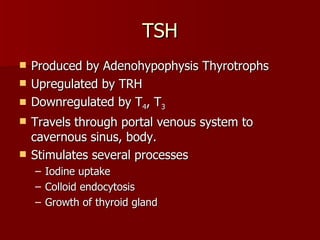 TSH Produced by Adenohypophysis Thyrotrophs Upregulated by TRH  Downregulated by T 4 , T 3 Travels through portal venous system to cavernous sinus, body. Stimulates several processes Iodine uptake Colloid endocytosis Growth of thyroid gland  