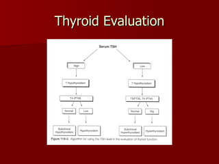 Thyroid Evaluation 