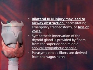 Bilateral Rln Thyroid by me for C1 students of Haramaya Uni.pptx
