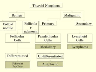 Thyroid Neoplasm
Benign Malignant
SecondaryPrimary
Follicular
Cells
Parafollicular
Cells
Lymphoid
Cells
LymphomaMedullary
Differentiated Undifferentiated
AnaplasticFollicular
Papillary
Colloid
nodule
Follicula
r
adenoma
 
