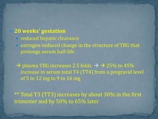  20 weeks' gestation
 reduced hepatic clearance
 estrogen-induced change in the structure of TBG that
prolongs serum half-life
 plasma TBG increases 2.5 folds   25% to 45%
increase in serum total T4 (TT4) from a pregravid level
of 5 to 12 mg to 9 to 16 mg
** Total T3 (TT3) increases by about 30% in the first
trimester and by 50% to 65% later
 