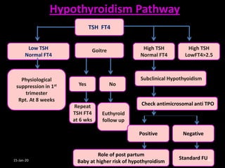 Ft4 Pathway THYROID DISEASES IN PREGNANCY BY DR SHASHWAT JANI | PDF