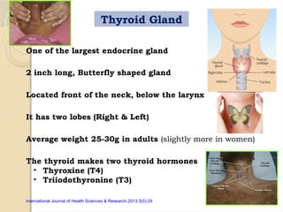 Thyroid Gland
One of the largest endocrine gland
International Journal of Health Sciences & Research.2013;3(5):29
Located front of the neck, below the larynx
2 inch long, Butterfly shaped gland
It has two lobes (Right & Left)
Average weight 25-30g in adults (slightly more in women)
The thyroid makes two thyroid hormones
• Thyroxine (T4)
• Triiodothyronine (T3)
 