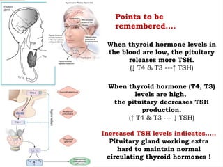 When thyroid hormone levels in
the blood are low, the pituitary
releases more TSH.
(↓ T4 & T3 ---↑ TSH)
When thyroid hormone (T4, T3)
levels are high,
the pituitary decreases TSH
production.
(↑ T4 & T3 --- ↓ TSH)
Points to be
remembered….
Increased TSH levels indicates…..
Pituitary gland working extra
hard to maintain normal
circulating thyroid hormones !
 