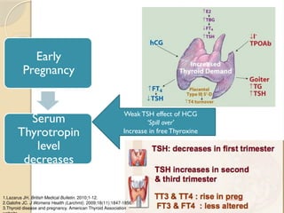 Early
Pregnancy
Serum
Thyrotropin
level
decreases
Weak TSH effect of HCG
‘Spill over’
Increase in free Thyroxine
1.Lazarus JH. British Medical Bulletin. 2010;1-12.
2.Galofre JC. J Womens Health (Larchmt). 2009;18(11):1847-1856.
3.Thyroid disease and pregnancy. American Thyroid Association
 