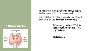 Comprehensive Overview of Thyroid Disorders: Physiology, Diagnosis, and ...