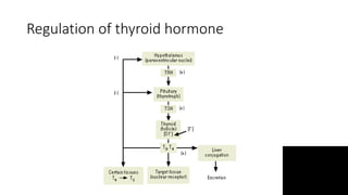 Regulation of thyroid hormone
 