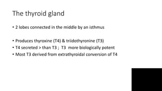 The thyroid gland
• 2 lobes connected in the middle by an isthmus
• Produces thyroxine (T4) & triidothyronine (T3)
• T4 secreted > than T3 ; T3 more biologically potent
• Most T3 derived from extrathyroidal conversion of T4
 