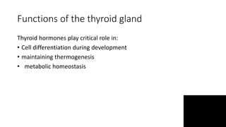 Functions of the thyroid gland
Thyroid hormones play critical role in:
• Cell differentiation during development
• maintaining thermogenesis
• metabolic homeostasis
 