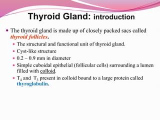  The thyroid gland is made up of closely packed sacs called
thyroid follicles.
 The structural and functional unit of thyroid gland.
 Cyst-like structure
 0.2 – 0.9 mm in diameter
 Simple cuboidal epithelial (follicular cells) surrounding a lumen
filled with colloid.
 T4 and T3 present in colloid bound to a large protein called
thyroglobulin.
Thyroid Gland: introduction
 