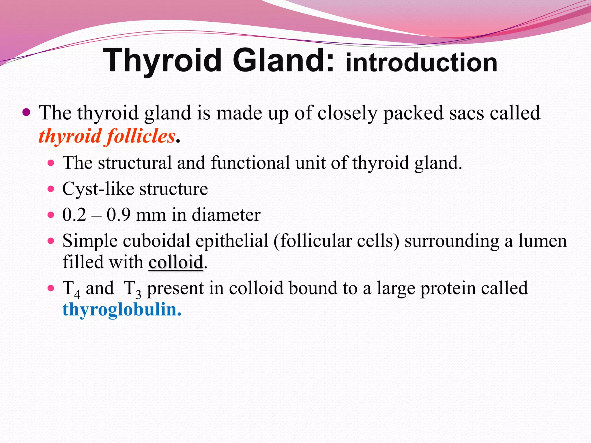  The thyroid gland is made up of closely packed sacs called
thyroid follicles.
 The structural and functional unit of thyroid gland.
 Cyst-like structure
 0.2 – 0.9 mm in diameter
 Simple cuboidal epithelial (follicular cells) surrounding a lumen
filled with colloid.
 T4 and T3 present in colloid bound to a large protein called
thyroglobulin.
Thyroid Gland: introduction
 