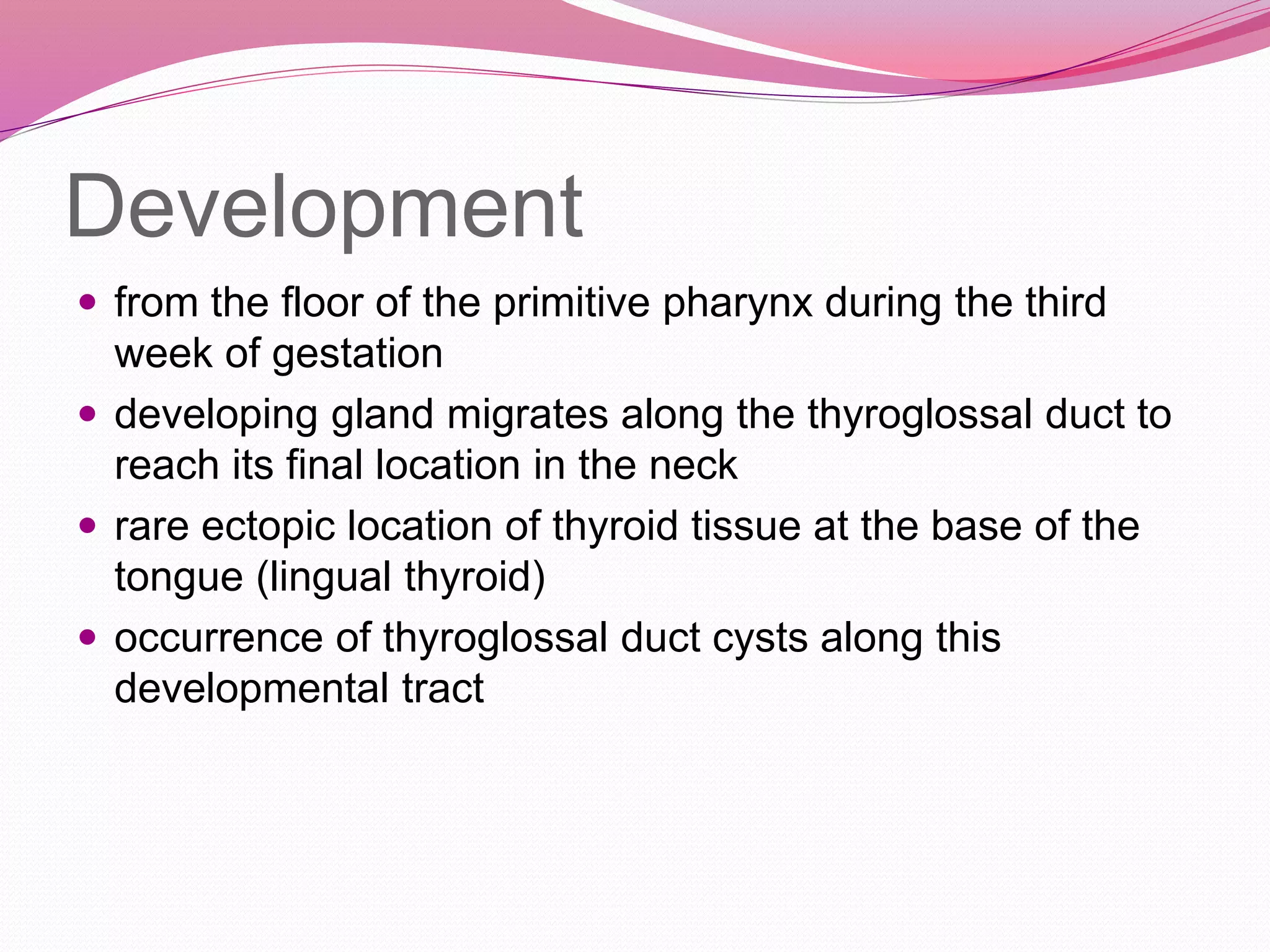 Development
 from the floor of the primitive pharynx during the third
week of gestation
 developing gland migrates along the thyroglossal duct to
reach its final location in the neck
 rare ectopic location of thyroid tissue at the base of the
tongue (lingual thyroid)
 occurrence of thyroglossal duct cysts along this
developmental tract
 