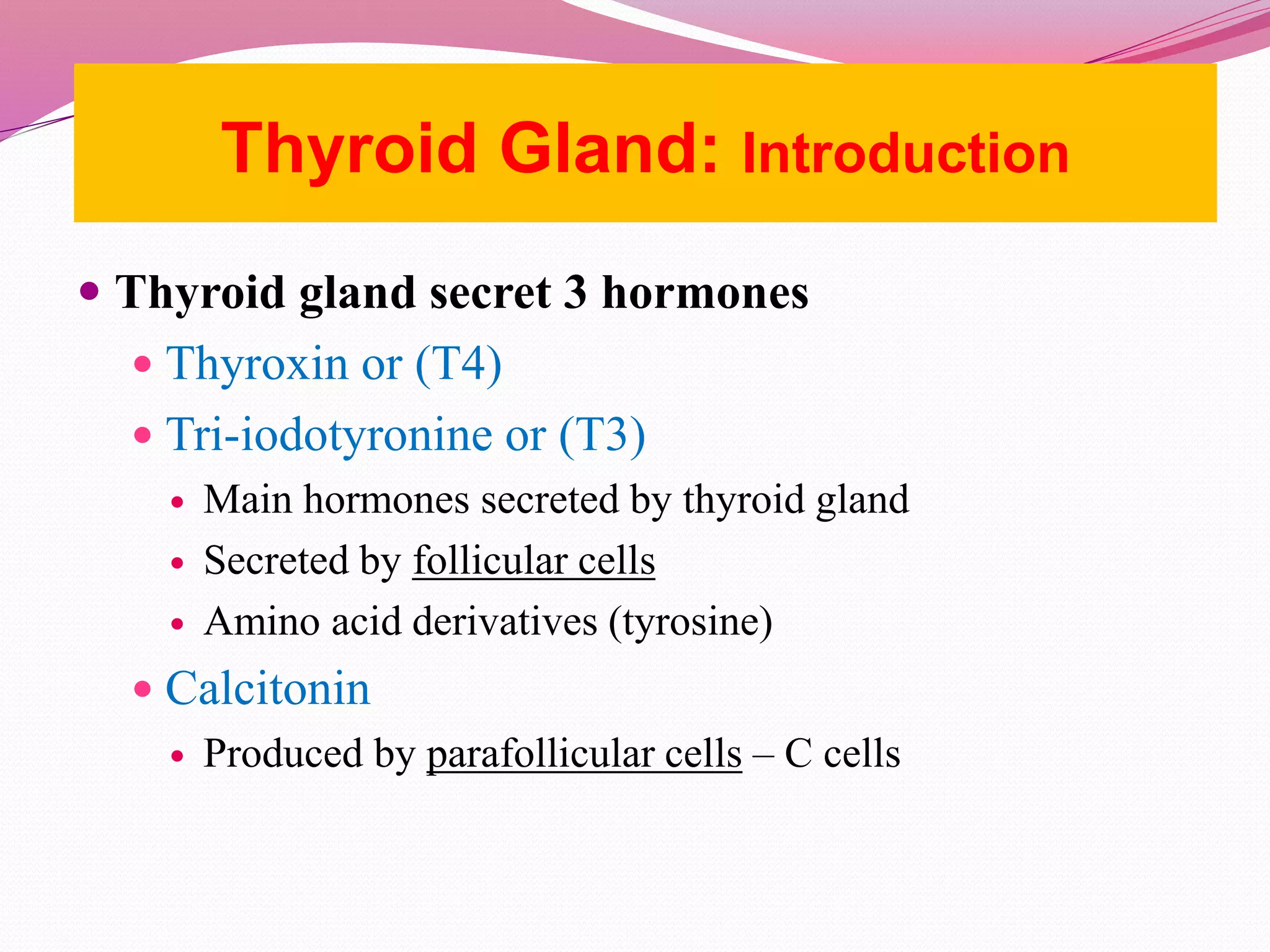  Thyroid gland secret 3 hormones
 Thyroxin or (T4)
 Tri-iodotyronine or (T3)
 Main hormones secreted by thyroid gland
 Secreted by follicular cells
 Amino acid derivatives (tyrosine)
 Calcitonin
 Produced by parafollicular cells – C cells
Thyroid Gland: Introduction
 