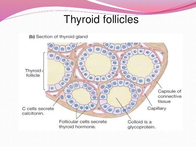 Thyroid disorders