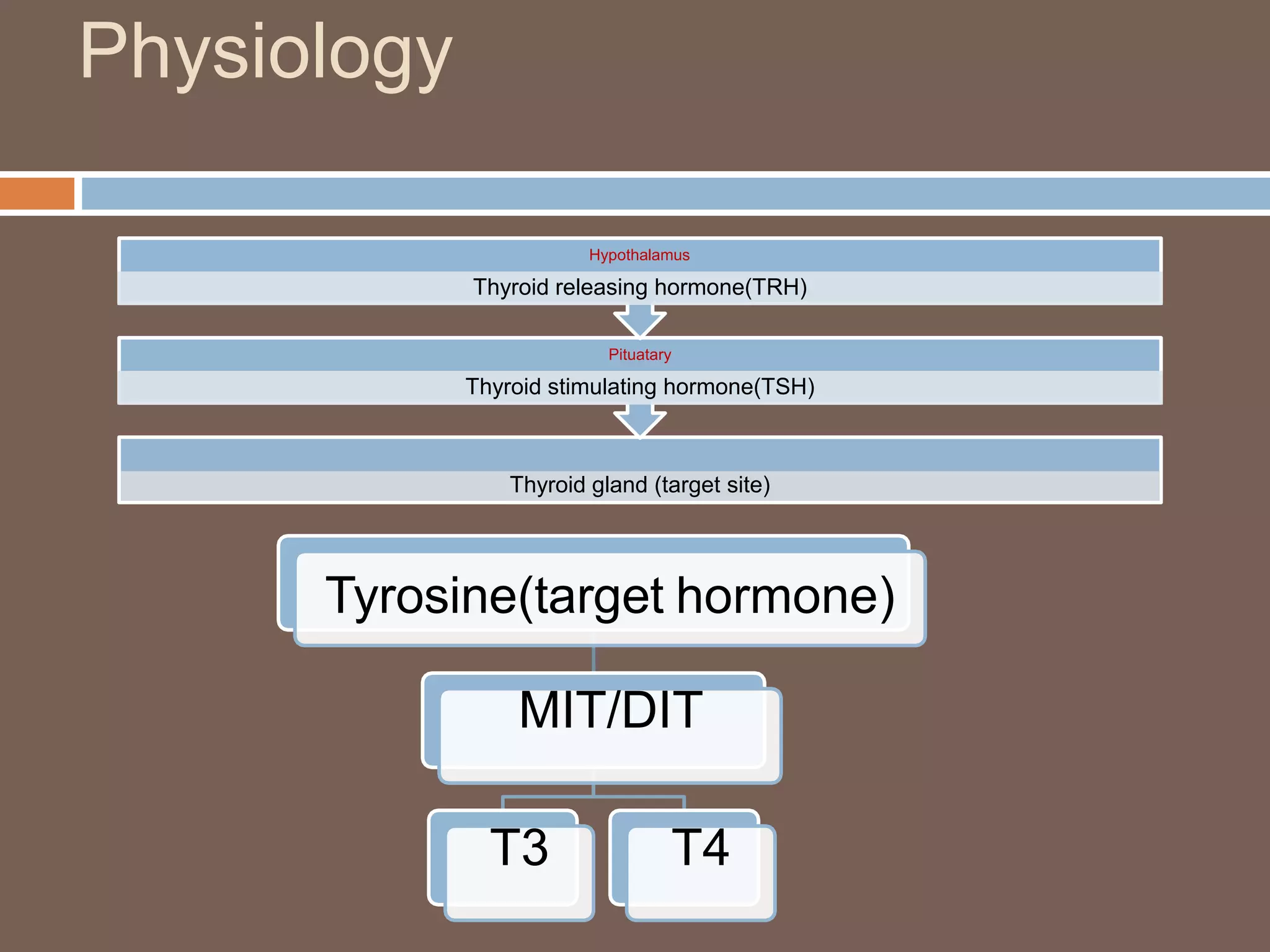Physiology
Thyroid gland (target site)
Pituatary
Thyroid stimulating hormone(TSH)
Hypothalamus
Thyroid releasing hormone(TRH)
Tyrosine(target hormone)
MIT/DIT
T3 T4
 
