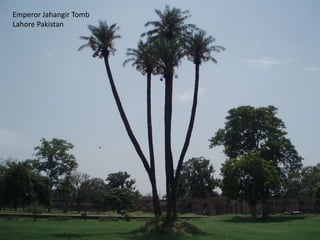 Emperor Jahangir Tomb
Lahore Pakistan
 