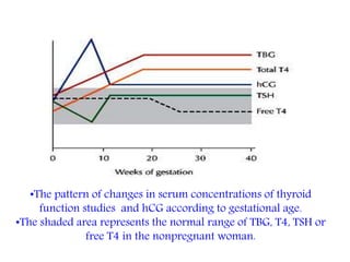 •The pattern of changes in serum concentrations of thyroid
function studies and hCG according to gestational age.
•The shaded area represents the normal range of TBG, T4, TSH or
free T4 in the nonpregnant woman.
 