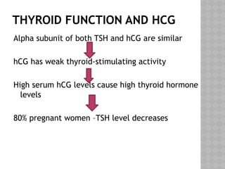 THYROID FUNCTION AND HCG
Alpha subunit of both TSH and hCG are similar
hCG has weak thyroid-stimulating activity
High serum hCG levels cause high thyroid hormone
levels
80% pregnant women –TSH level decreases
 