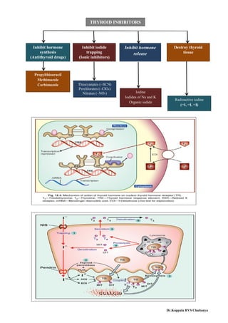 Inhibit hormone
synthesis
(Antithyroid drugs)
Inhibit iodide
trapping
(Ionic inhibitors)
Inhibit hormone
release
Destroy thyroid
tissue
Propylthiouracil
Methimazole
Carbimazole Thiocyanates (–SCN)
Perchlorates (–ClO4)
Nitrates (–NO3) Iodine
Iodides of Na and K
Organic iodide
Radioactive iodine
(131
I, 125
I, 123
I)
THYROID INHIBITORS
Dr.Koppala RVS Chaitanya
 