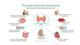 Thyroid dysfunction and insulin resistance journal ppt.pptx
