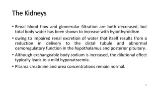 The Kidneys
• Renal blood flow and glomerular filtration are both decreased, but
total body water has been shown to increase with hypothyroidism
• owing to impaired renal excretion of water that itself results from a
reduction in delivery to the distal tubule and abnormal
osmoregulatory function in the hypothalamus and posterior pituitary.
• Although exchangeable body sodium is increased, the dilutional effect
typically leads to a mild hyponatraemia.
• Plasma creatinine and urea concentrations remain normal.
29
 