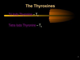 3 
The Thyroxines 
Tri Iodo Thyronine – T3 
Tetra Iodo Thyronine – T4 
 