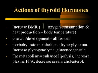Actions of thyroid Hormones 
- Increase BMR ( oxygen consumption & 
heat production – body temperature) 
- Growth/development= all tissues 
- Carbohydrate metabolism= hyperglycemia. 
Increase glycogenolysis, gluconeogenesis 
- Fat metabolism= enhance lipolysis, increase 
plasma FFA, decrease serum cholesterol. 
 