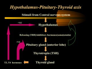 Hypothalamus-Pituitary-Thyroid axis 
Stimuli from Central nervous system 
Hypothalamus 
-ve 
Releasing (TRH)/inhibitory hormones(somatostatin) 
Pituitary gland (anterior lobe) 
Thyrotropin (TSH) 
-ve 
T3, T4 hormones Thyroid gland 
 