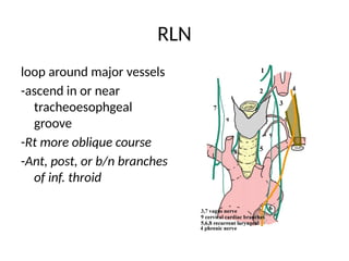Thyroidectomy .pptxTechniques of Thyroidectomy.ppt